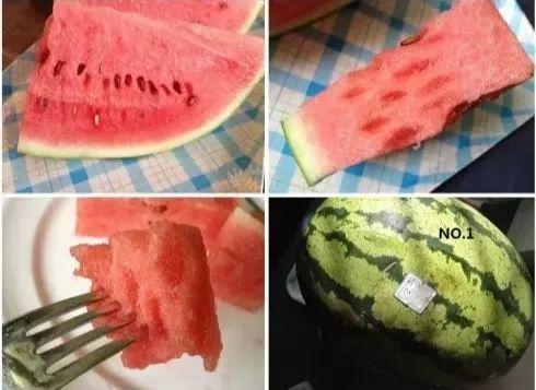 虎墩吃瓜,揭秘娱乐圈背后的秘密与真相