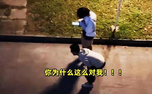 吃瓜事件恋爱,从吃瓜事件看现代恋爱观的演变