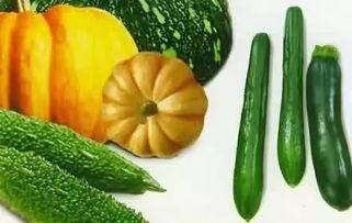 火神瓜怎么吃,解锁美味新体验