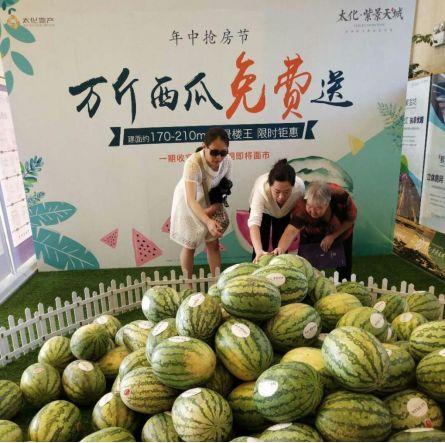 正弘城吃瓜,一场吃瓜盛宴背后的故事