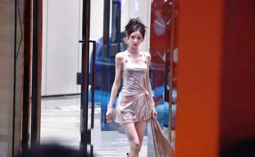 吃瓜身材爆料,揭秘明星“吃瓜身材”背后的秘密与真相