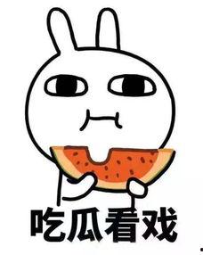 吃瓜博主lyz,带你领略娱乐圈幕后风云