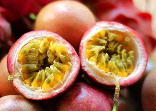 吃百花果果吃密瓜,探寻美味与健康的完美邂逅