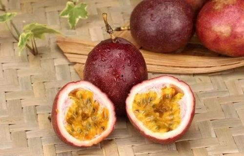 吃百花果果吃密瓜,探寻美味与健康的完美邂逅