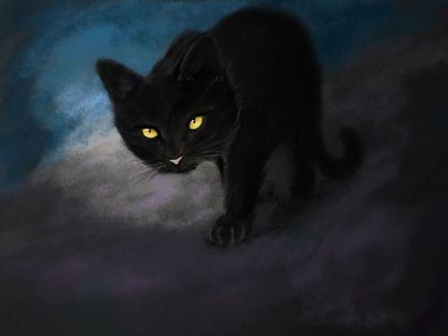 黑猫找女人要瓜吃,一段奇妙的瓜果情缘