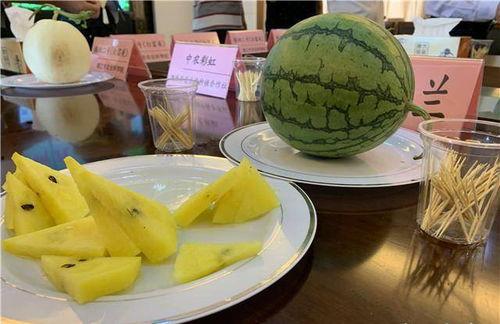 苏食吃瓜,揭秘江苏美食背后的故事与魅力