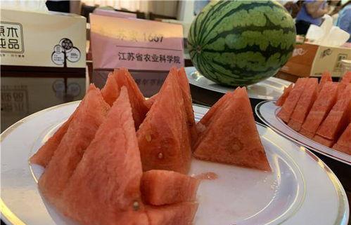 苏食吃瓜,揭秘江苏美食背后的故事与魅力
