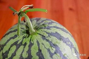 杆姐吃瓜,揭秘娱乐圈幕后真相