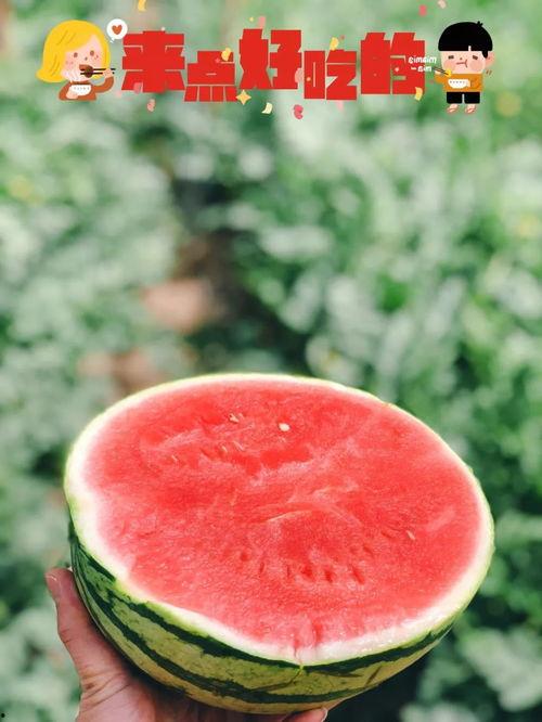 嘉联地产吃瓜,揭秘吃瓜背后的地产风云