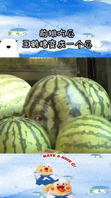 西瓜吃瓜精,揭秘夏日消暑新宠的神奇魅力
