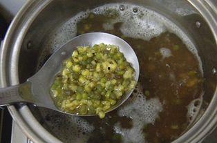 京瓜和绿豆能一起吃吗,探究能否同食的健康之谜”