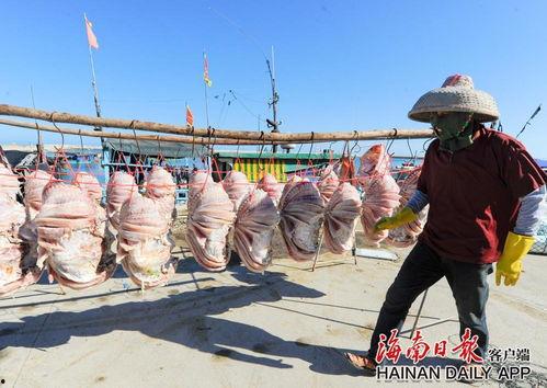 渔民吃瓜现场图片,渔村生活趣味横生