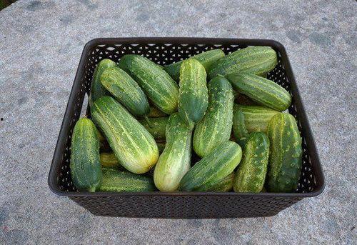 今日吃瓜热门大瓜每日更,揭秘娱乐圈最新猛料，每日更新，精彩不断！