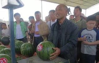 马坊吃瓜群众事迹,见证时代变迁的民间观察者