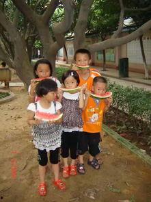 金乡吃瓜观众,揭秘幕后真相，一窥民间风云