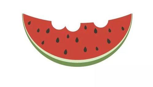 画西瓜地里吃瓜,画中西瓜地，共享清凉时光