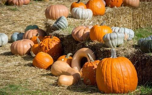 卷帘门吃瓜,揭秘网络热议背后的真相