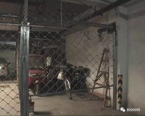 卷帘门吃瓜,揭秘网络热议背后的真相