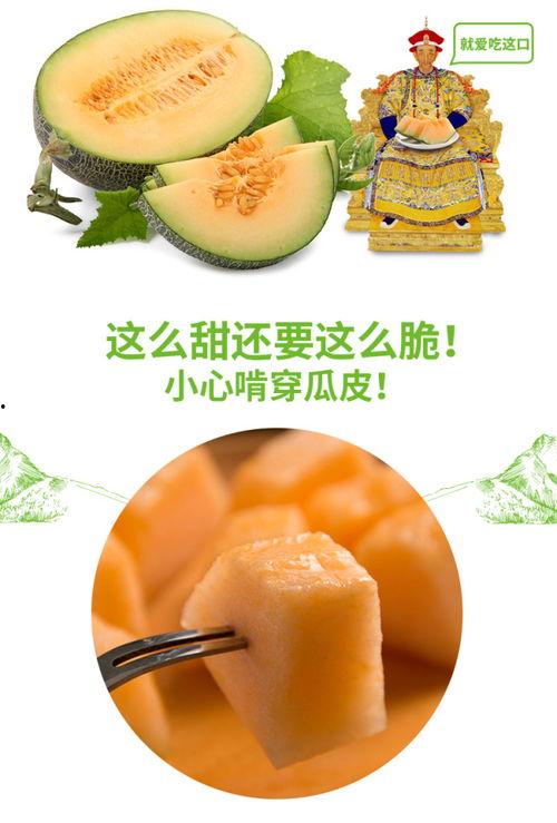 小泽吃蜜瓜,小泽甜蜜蜜瓜之旅