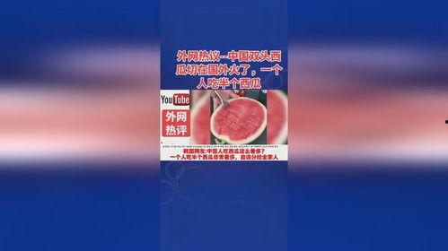 外网在线吃瓜,外网在线吃瓜，揭秘娱乐圈幕后真相