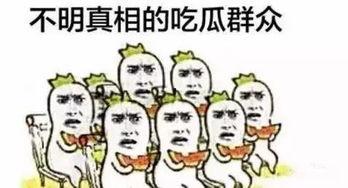 带你吃瓜群众,带你领略吃瓜群众的独特魅力