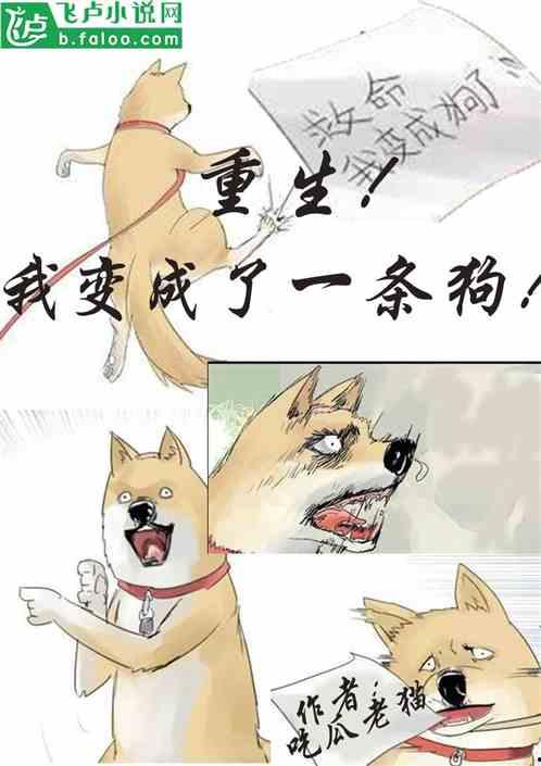 小说依依吃瓜,揭秘娱乐圈背后的秘密与真相