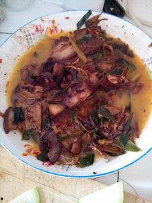 回锅肉吃瓜,麻辣鲜香，吃瓜群众的味蕾盛宴