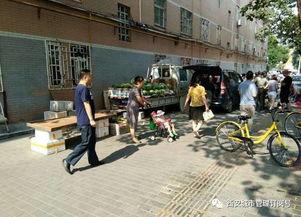 惠州东街吃瓜事件视频,一场引发热议的街头冲突瞬间