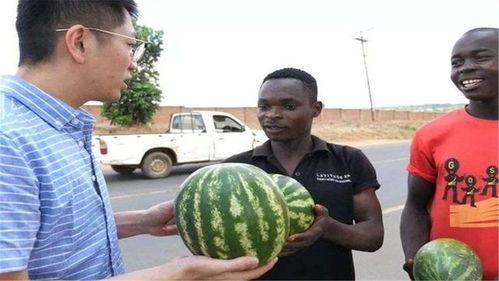 世界网友齐吃瓜