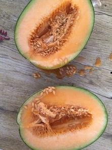 食品圈吃瓜,吃瓜群众的美食探秘之旅