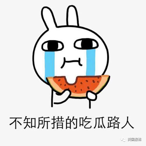 野心吃瓜