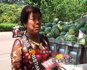 靖远吃瓜群众视频,揭秘当地生活百态