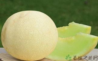 孩子吃白兰瓜,美味营养两不误