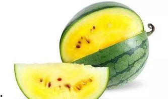 怎么分最公平 吃瓜,揭秘最公正的吃瓜分配法则