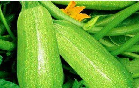 吃茭瓜拉腹泻,探究饮食与肠道健康的微妙关系