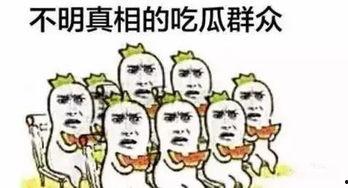 特别吃瓜群众,特别吃瓜群众的独家视角
