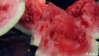 咪谷谷吃瓜,揭秘娱乐圈那些不为人知的幕后故事