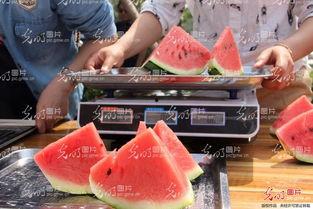 吃瓜收费视频,揭秘网络娱乐的新趋势与商业模式