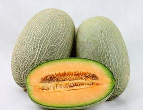 邓邓吃哈密瓜,邓邓的哈密瓜美食之旅