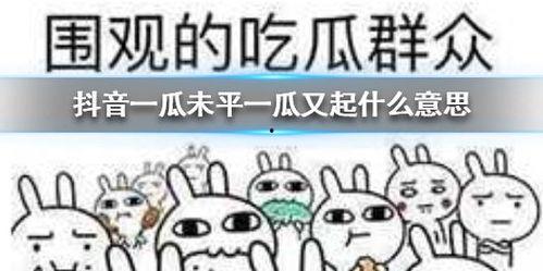 抖音名字吃瓜群众,抖音红人的瓜田奇遇记