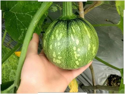 小徐徐吃瓜,揭秘娱乐圈那些不为人知的幕后故事