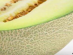 吃甜 蜜瓜,夏日里的清凉美味之旅