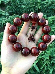 吃瓜小叶,揭秘娱乐圈背后的那些事儿