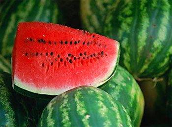 侉子瓜产妇可以吃吗,产妇适宜食材揭秘