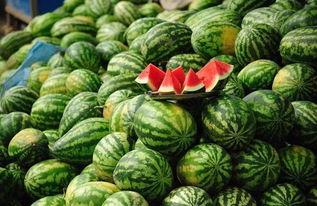 林州临期网红吃瓜,揭秘临期食品背后的秘密