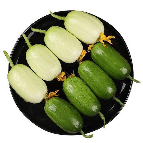 坐月子葫芦瓜怎么吃,坐月子期间葫芦瓜的多样食用方法