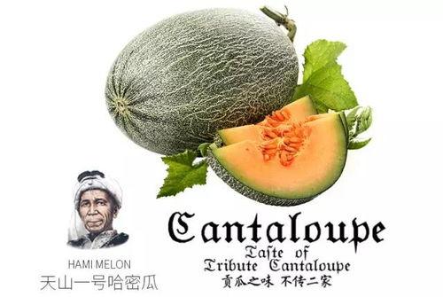 让爷爷吃蜜瓜,让爷爷共享蜜瓜美味