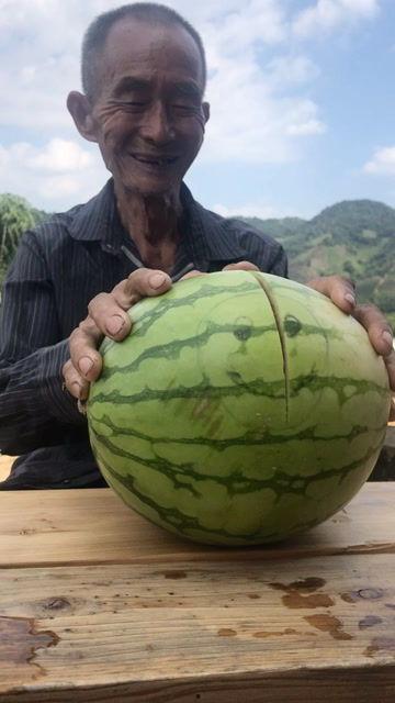 让爷爷吃蜜瓜,让爷爷共享蜜瓜美味