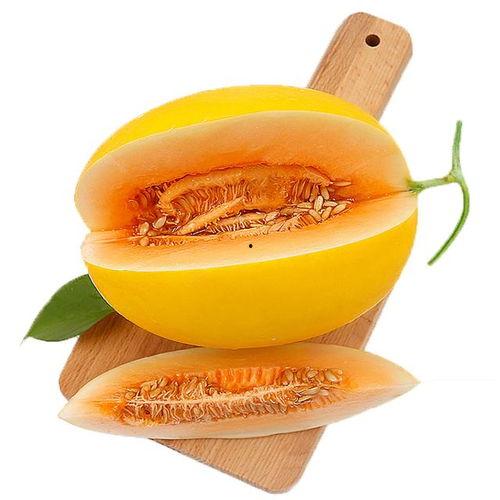 让爷爷吃蜜瓜,让爷爷共享蜜瓜美味