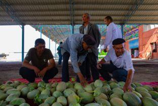 库尔瓜怎么吃,探索传统美食的多样吃法